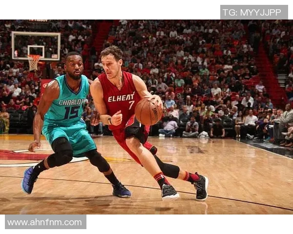 黄蜂与勇士激战CCTV5直播精彩瞬间回顾与赛后分析